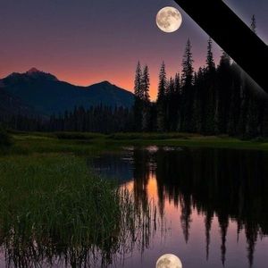 Meet your Posher, Aryel